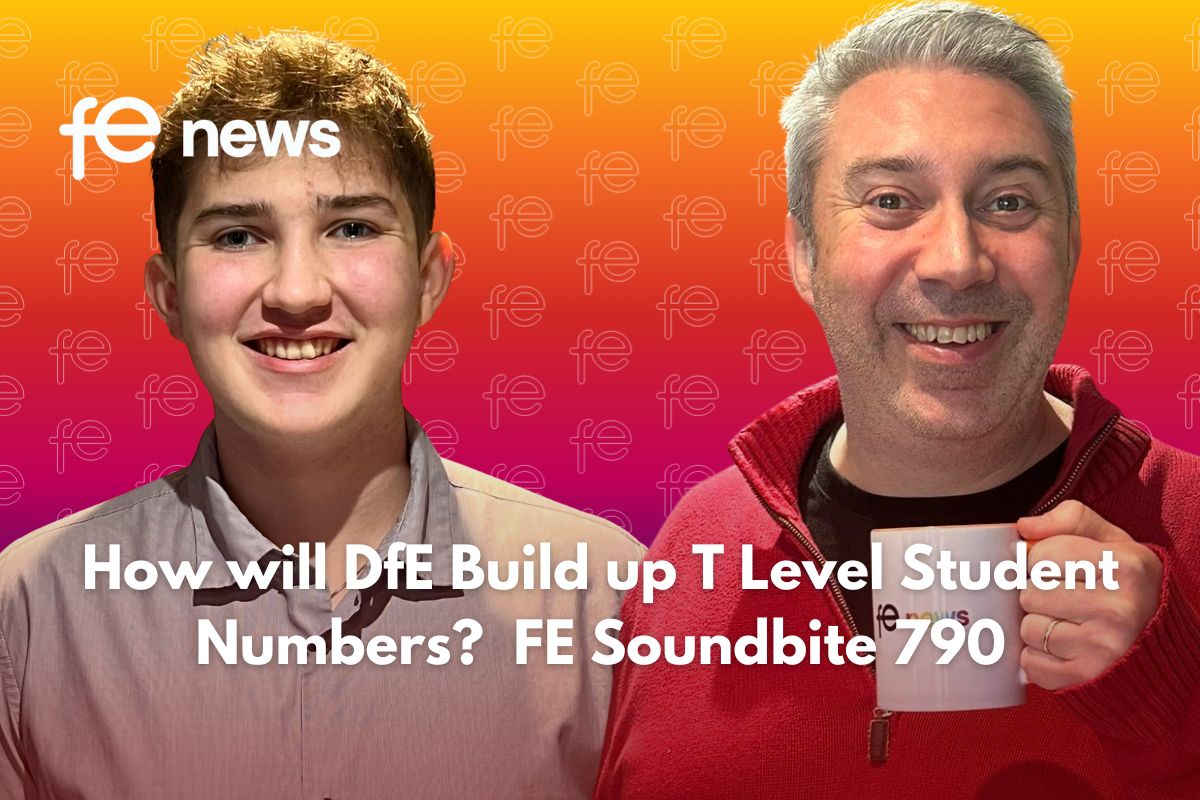 How will DfE build up the T Level numbers?